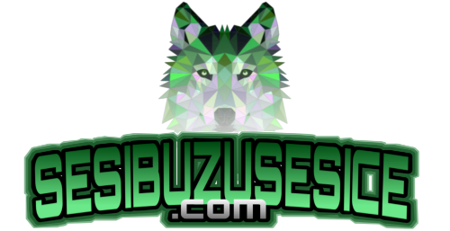 SESIBUZUSESİCE